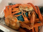 IMG_0447.jpg