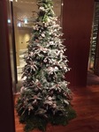 IMG_2063.jpg